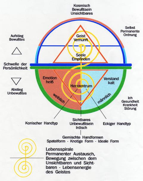 Diagramm zur Analyse der Persönlichkeitsstruktur