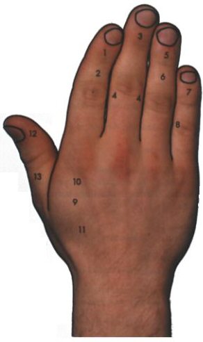 Hand - Chirologie