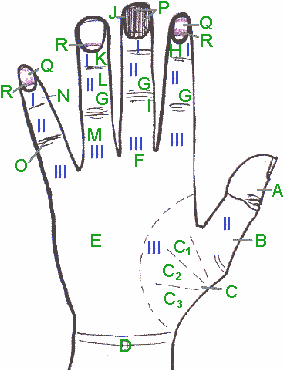 Hand - Zuordnungen