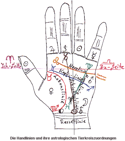 Handfläche lebenslinie Handlesen: Die