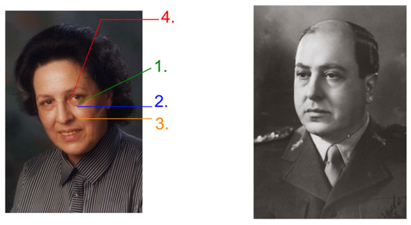 Physiognomische Bildanalyse